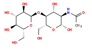 CC(=O)N[C@H]1[C@H](O)O[C@H](CO)[C@@H](O[C@H]2O[C@H](CO)[C@@H](O)[C@H](O)[C@H]2O)[C@@H]1O