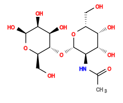 CC(=O)N[C@H]1[C@H](O[C@@H]2[C@@H](CO)O[C@@H](O)[C@@H](O)[C@H]2O)O[C@H](CO)[C@H](O)[C@@H]1O