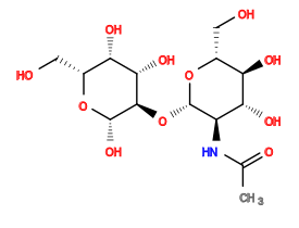 CC(=O)N[C@H]1[C@H](O[C@@H]2[C@@H](O)[C@@H](O)[C@@H](CO)O[C@H]2O)O[C@H](CO)[C@@H](O)[C@@H]1O