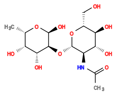 CC(=O)N[C@H]1[C@H](O[C@@H]2[C@H](O)O[C@@H](C)[C@@H](O)[C@H]2O)O[C@H](CO)[C@@H](O)[C@@H]1O