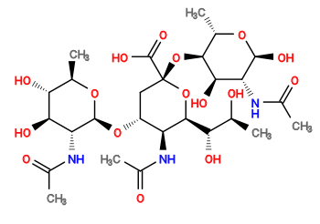 CC(=O)N[C@H]1[C@H](O[C@@H]2O[C@H](C)[C@@H](O)[C@H](O)[C@H]2NC(C)=O)C[C@](O[C@H]2[C@H](C)O[C@@H](O)[C@H](NC(C)=O)[C@H]2O)(C(=O)O)O[C@H]1[C@@H](O)[C@H](C)O
