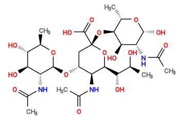 CC(=O)N[C@H]1[C@H](O[C@@H]2O[C@H](C)[C@@H](O)[C@H](O)[C@H]2NC(C)=O)C[C@](O[C@H]2[C@H](C)O[C@H](O)[C@H](NC(C)=O)[C@H]2O)(C(=O)O)O[C@H]1[C@@H](O)[C@H](C)O