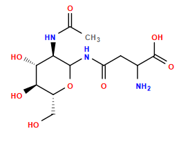 CC(=O)N[C@H]1C(NC(=O)CC(N)C(=O)O)O[C@H](CO)[C@@H](O)[C@@H]1O