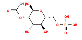 CC(=O)O[C@@H]1[C@@H](O)O[C@H](COP(=O)(O)O)[C@@H](O)[C@@H]1O