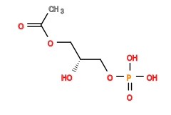 CC(=O)OC[C@@H](O)COP(=O)(O)O