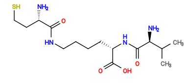 CC(C)[C@H](N)C(=O)N[C@@H](CCCCNC(=O)[C@@H](N)CCS)C(=O)O