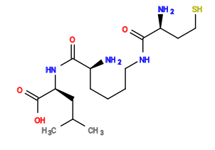 CC(C)C[C@H](NC(=O)[C@@H](N)CCCCNC(=O)[C@@H](N)CCS)C(=O)O