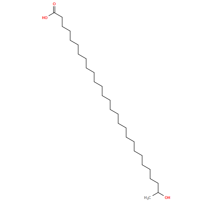CC(O)CCCCCCCCCCCCCCCCCCCCCCCCCC(=O)O