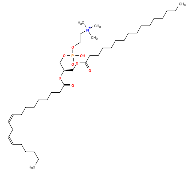 CCCCC/C=C\C/C=C\CCCCCCCC(=O)O[C@H](COC(=O)CCCCCCCCCCCCCCC)COP(=O)(O)OCC[N+](C)(C)C