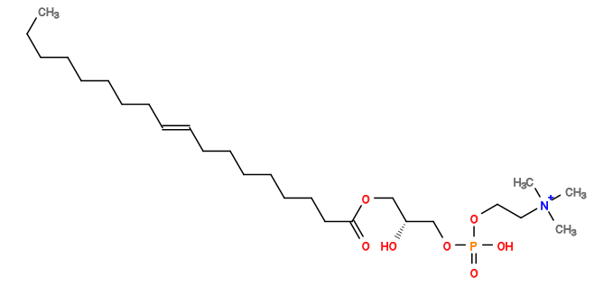 CCCCCCCC/C=C/CCCCCCCC(=O)OC[C@@H](O)COP(=O)(O)OCC[N+](C)(C)C