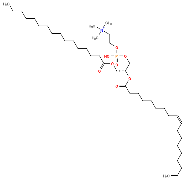 CCCCCCCC/C=C\CCCCCCCC(=O)O[C@H](COC(=O)CCCCCCCCCCCCCCC)COP(=O)(O)OCC[N+](C)(C)C