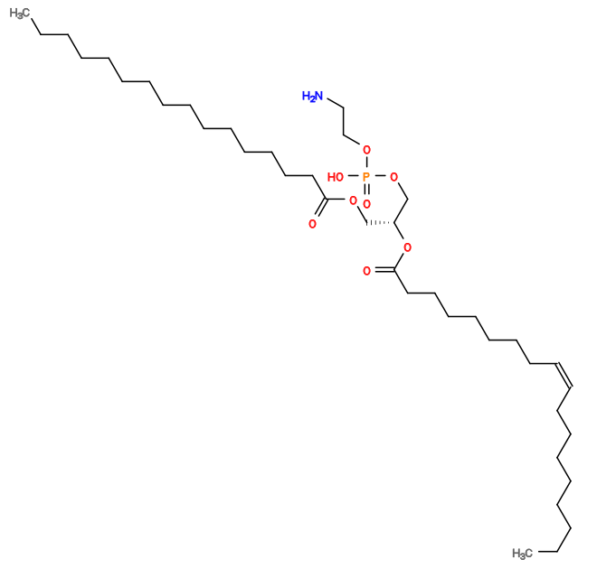 CCCCCCCC/C=C\CCCCCCCC(=O)O[C@H](COC(=O)CCCCCCCCCCCCCCC)COP(=O)(O)OCCN