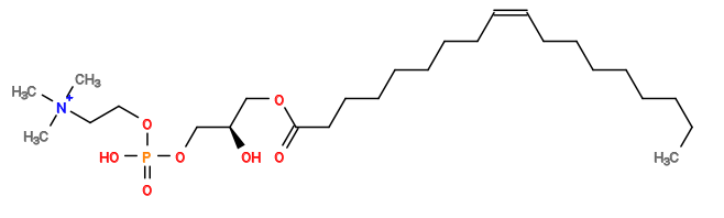 CCCCCCCC/C=C\CCCCCCCC(=O)OC[C@@H](O)COP(=O)(O)OCC[N+](C)(C)C