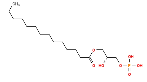 CCCCCCCCCCCCCC(=O)OC[C@@H](O)COP(=O)(O)O