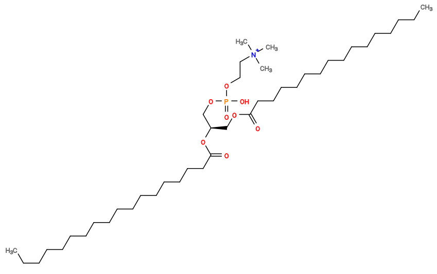 CCCCCCCCCCCCCCCCCC(=O)O[C@H](COC(=O)CCCCCCCCCCCCCCC)COP(=O)(O)OCC[N+](C)(C)C