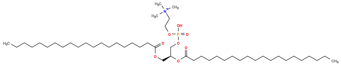 CCCCCCCCCCCCCCCCCCCC(=O)OC[C@@H](COP(=O)(O)OCC[N+](C)(C)C)OC(=O)CCCCCCCCCCCCCCCCCCC