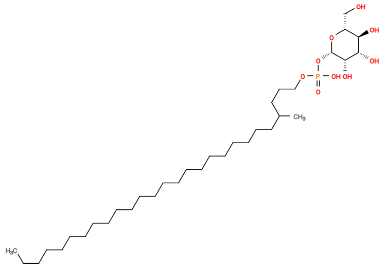 CCCCCCCCCCCCCCCCCCCCCCCC(C)CCCOP(=O)(O)O[C@@H]1O[C@H](CO)[C@@H](O)[C@H](O)[C@@H]1O