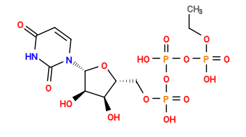 CCOP(=O)(O)OP(=O)(O)OP(=O)(O)OC[C@H]1O[C@@H](n2ccc(=O)[nH]c2=O)[C@H](O)[C@@H]1O