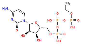 CCOP(=O)(O)OP(=O)(O)OP(=O)(O)OC[C@H]1O[C@@H](n2ccc(N)nc2=O)[C@H](O)[C@@H]1O