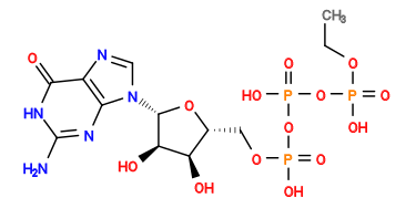 CCOP(=O)(O)OP(=O)(O)OP(=O)(O)OC[C@H]1O[C@@H](n2cnc3c(=O)[nH]c(N)nc32)[C@H](O)[C@@H]1O