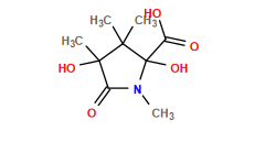 CN1C(=O)C(C)(O)C(C)(C)C1(O)C(=O)O