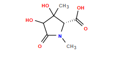 CN1C(=O)C(O)C(C)(O)[C@@H]1C(=O)O