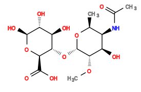 CO[C@@H]1[C@H](O[C@@H]2[C@@H](C(=O)O)O[C@@H](O)[C@H](O)[C@H]2O)O[C@@H](C)[C@@H](NC(C)=O)[C@H]1O