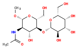 CO[C@@H]1O[C@H](CO)[C@@H](O[C@@H]2O[C@H](CO)[C@H](O)[C@H](O)[C@H]2O)[C@H](O)[C@H]1NC(C)=O