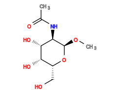 CO[C@H]1O[C@H](CO)[C@H](O)[C@H](O)[C@H]1NC(C)=O