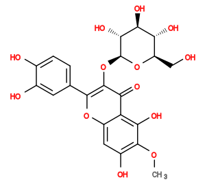 COc1c(O)cc2oc(-c3ccc(O)c(O)c3)c(O[C@@H]3O[C@H](CO)[C@@H](O)[C@H](O)[C@H]3O)c(=O)c2c1O