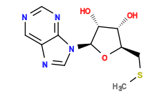 CSC[C@H]1O[C@@H](n2cnc3cncnc32)[C@H](O)[C@@H]1O