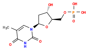 Cc1cn([C@H]2C[C@H](O)[C@@H](COP(=O)(O)O)O2)c(=O)[nH]c1=O