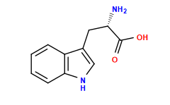 N[C@@H](Cc1c[nH]c2ccccc12)C(=O)O