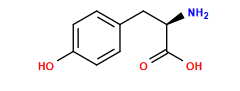 N[C@H](Cc1ccc(O)cc1)C(=O)O