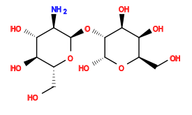 N[C@H]1[C@@H](O[C@H]2[C@@H](O)O[C@H](CO)[C@H](O)[C@@H]2O)O[C@H](CO)[C@@H](O)[C@@H]1O