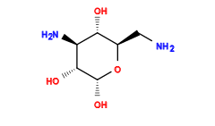 NC[C@H]1O[C@H](O)[C@H](O)[C@@H](N)[C@@H]1O