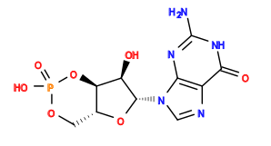 Nc1nc2c(ncn2[C@@H]2O[C@@H]3COP(=O)(O)O[C@H]3[C@H]2O)c(=O)[nH]1
