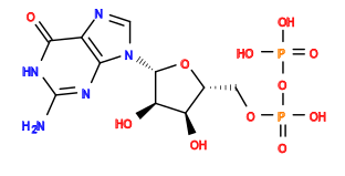 Nc1nc2c(ncn2[C@@H]2O[C@H](COP(=O)(O)OP(=O)(O)O)[C@@H](O)[C@H]2O)c(=O)[nH]1