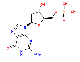 Nc1nc2c(ncn2[C@H]2C[C@H](O)[C@@H](COP(=O)(O)O)O2)c(=O)[nH]1