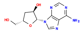 Nc1ncnc2c1ncn2[C@@H]1O[C@H](CO)C[C@H]1O