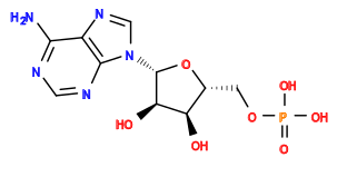 Nc1ncnc2c1ncn2[C@@H]1O[C@H](COP(=O)(O)O)[C@@H](O)[C@H]1O