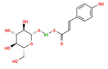 O=C(/C=C/c1ccc(O)cc1)O[1*]O[C@@H]1O[C@H](CO)[C@@H](O)[C@H](O)[C@H]1O