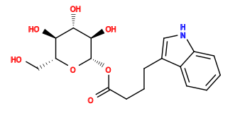 O=C(CCCc1c[nH]c2ccccc12)O[C@@H]1O[C@H](CO)[C@@H](O)[C@H](O)[C@H]1O