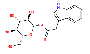 O=C(Cc1c[nH]c2ccccc12)O[C@@H]1O[C@H](CO)[C@@H](O)[C@H](O)[C@H]1O