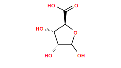 O=C(O)[C@H]1OC(O)[C@H](O)[C@@H]1O