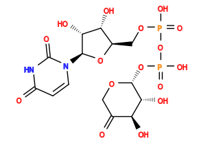 O=C1CO[C@H](OP(=O)(O)OP(=O)(O)OC[C@H]2O[C@@H](n3ccc(=O)[nH]c3=O)[C@H](O)[C@@H]2O)[C@H](O)[C@H]1O