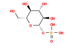 O=P(O)(O)O[C@@H]1O[C@H](CO)[C@@H](O)[C@H](O)[C@H]1O