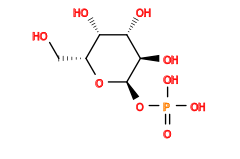 O=P(O)(O)O[C@H]1O[C@H](CO)[C@H](O)[C@H](O)[C@H]1O