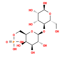 O=P(O)(O)OC[C@H]1O[C@@H](O[C@@H]2[C@@H](CO)O[C@H](O)[C@@H](O)[C@H]2O)[C@H](O)[C@@H](O)[C@H]1O