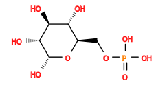 O=P(O)(O)OC[C@H]1O[C@H](O)[C@H](O)[C@@H](O)[C@@H]1O